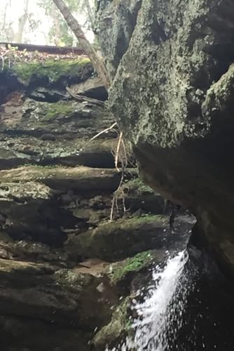 The Secrets of Lonesome Ridge (Adventures of Aiden, Wyatt,Brooks and Cora)