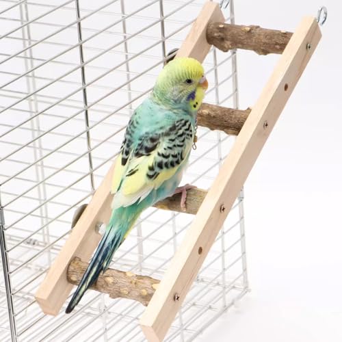 Brinquedos de gaiola de escada de madeira natural, conjunto de 3, para periquitos, calopsitas, papag