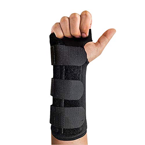 JOLUCE T|[^[ Œ ʋCT|[^[  T|[^[ ی A~v[g ߉\ LTCY 1 jp (LTCYiEj)