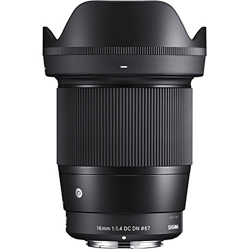Sigma 24-70mm f/2.8 lens