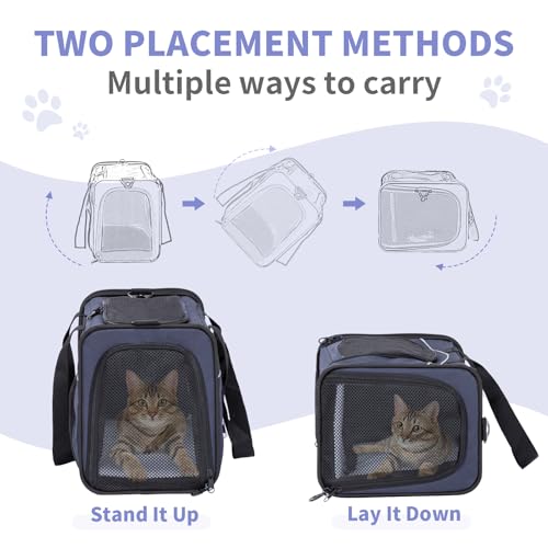Petsfit Transporttasche Katze & Hundetasche Flugzeug | Flugtasche für Hunde & Transportbox Katze | Flugtaugliche Haustiertasche | Sicherer Transport in Auto, Flugzeug und Bahn, S/Blau