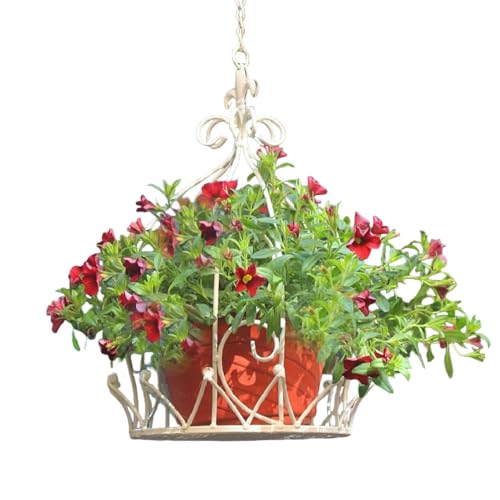 AOUCN ݂艺 ACAnMOt[X^h - nMOoXPbgEht[|bguPbAVvȃoRj[[AOoRj[K[f둽At[|bgbNɍœK (ÂH|i)