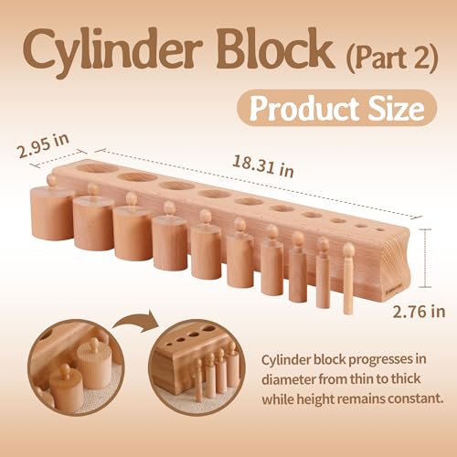 Image of MONTESSORI OUTLET Cylinder Block (Part 2) for Children Aged 3-6 Montessori Education at School and Home