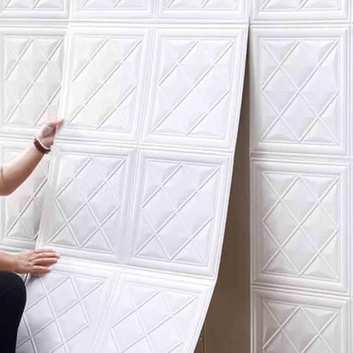 Panneaux muraux 3D pour masquer les défauts des murs et protéger des chocs - 3