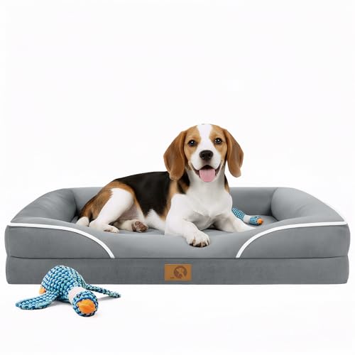 Homemate Dog Bed Medium Size Dog 71.1x58.4 cm `OȗptH[t h AEghA ybg L xbh \t@pi   N[g pbh \t@ O\Ő􂦂Jo[&mXbv{g 