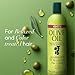 ORS Olive Oil Professional Incredibly Rich Oil Moisturizing Hair Lotion 23 Ounce (1)