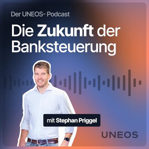 Page de couverture de Friedemann Kammler: Wann kommt die KI-Wende in der Banksteuerung? #5