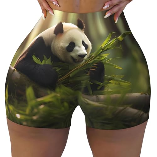 Panda Eating Bamboo Pattern Sports Shorts, high Elastic Slim Fitness Pants, Suitable for Yoga/Leisure/Daily wear