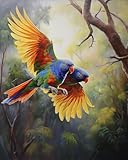 Kits de broderie au point de croix, loriquets arc-en-ciel en vol, kits de broderie au point de croix compté pour débutants, kits d'art et d'artisanat pour décoration d'intérieur (11CT sans cadre, 40,6