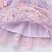 Toddler Butterfly Fairy Tale Princess Dress - Sleeveless Lancme Tutu Style for Baby Girls' 1st Birthday Party Flower Girl - Butterflies Embroidery Lilac 2-3T