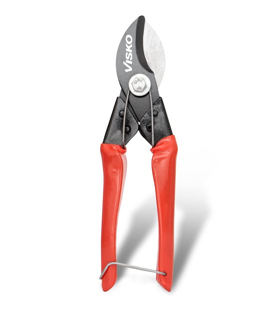 VISKO 544 Garden Pruner |Gardening Cut Tools |Gardening Pruning Shears Anvil Pruner | Pruning Shear Cutter for All Purpose Garden Use with Smart Lock | Plant Cutter For Home Garden Scissors | Branch Trimmer | Flower and Leaf Cutter | Wood Cutter | By (B09GY7H5BB) Amazon Price History, Amazon Price Tracker
