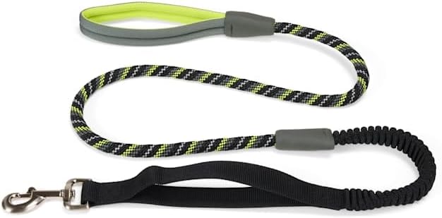 YOULY by Petco Adventure Shock-Absorbing Dog Leash 5 ft. Black