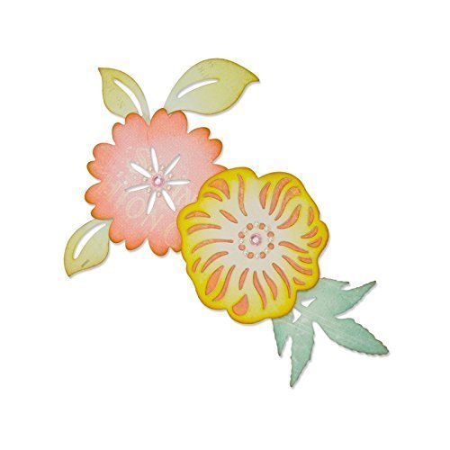 Sizzix Thinlits Die Set 5Pk-Estelle by Prima Marketing Inc by Sizzix