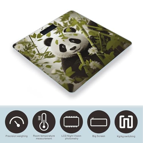 Báscula Digital de Baño con Vidrio Templado y Display LCD Claro miniatura 3