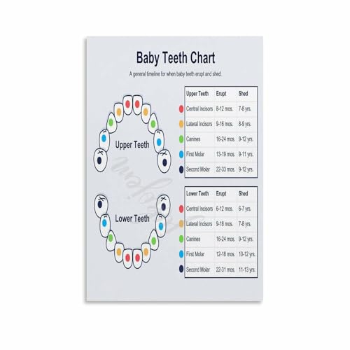 Baby Teething Timeline Poster - Guide to Tooth Order, Symptoms