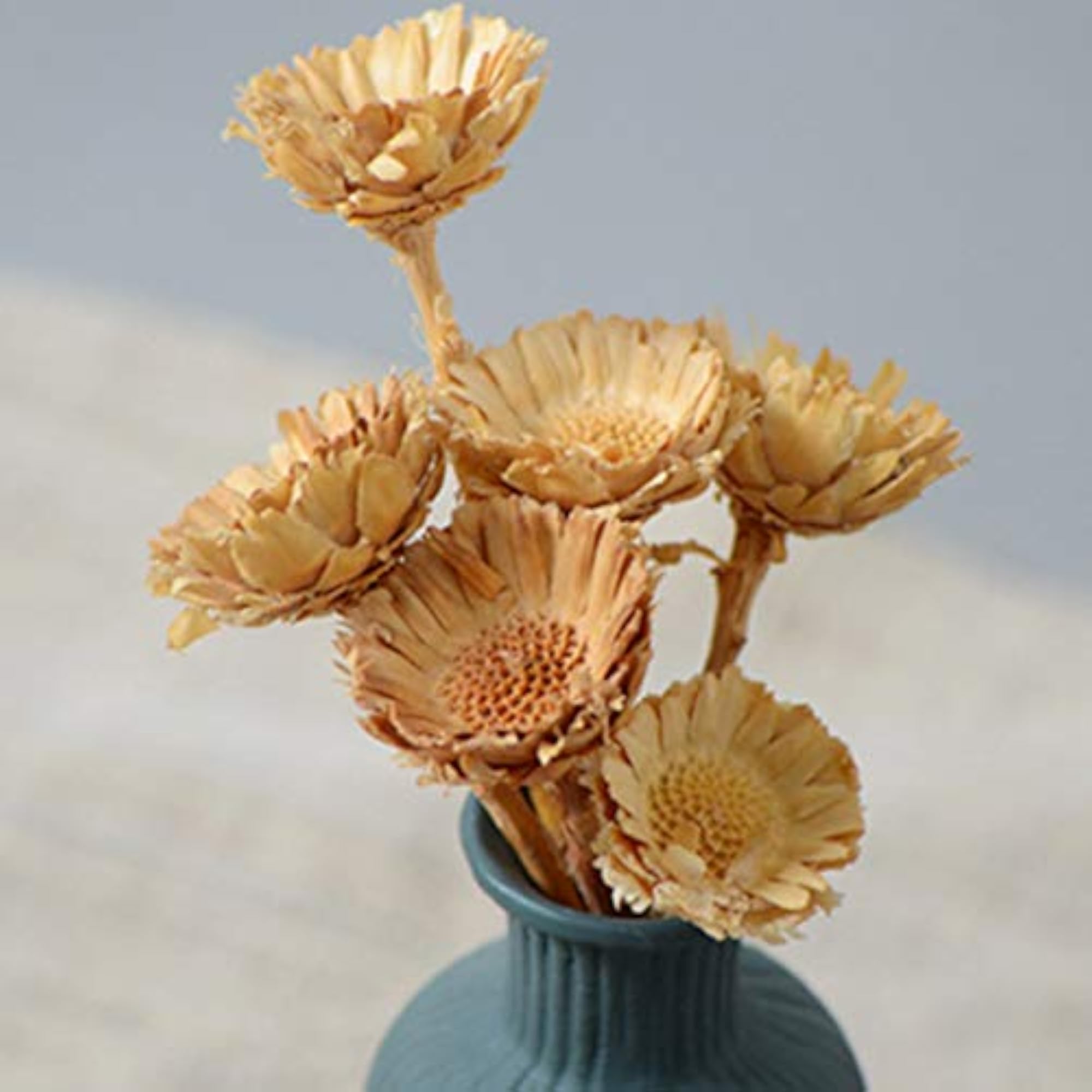 Preserved Flower Creative Sunflower, Unique Gift