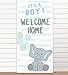 Itâ€™s A Boy Welcome Home Cute Cartoon ElephantÂ Banner Background Photo Booth Props Animal Theme Decor for Boy Prince Wild One Safari Baby Shower 1st Birthday Party Favors Supplies Decorations Backdrop