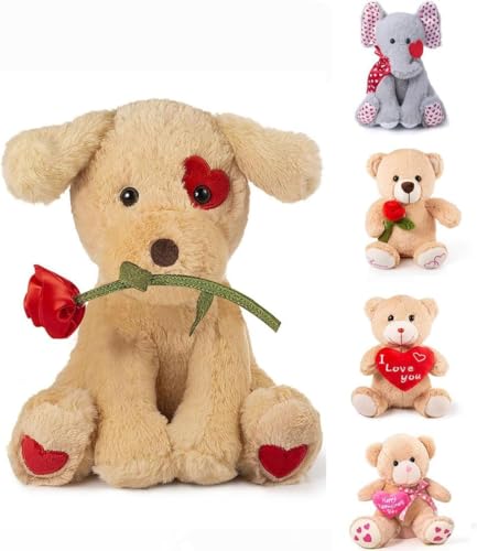Oukiwi 10 Inch Valentine's Stuffed Animal, Stuffed Animal Dog, Ideal for Valentine's Day Gifts for Family (Style - C)