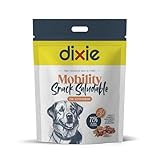 DIXIE