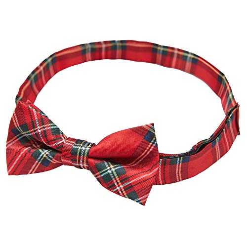 Jacob Alexander Royal Stewart Red Plaid Boys' Pre-Tied Banded Bow Tie2