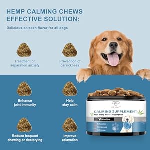 Calming chews for dogs organic hemp dog relaxing treats for anti anxiety stress bites car sickness pain relief separation ease puppies soft chews canine pup calm care health treatment supplies   cucciolini doodles