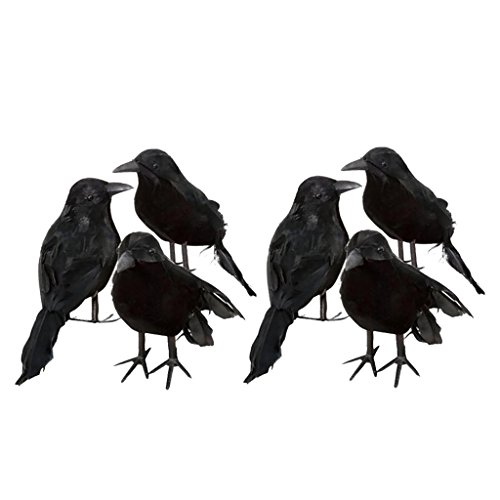 Non-Brand Lot de 6X Oiseau Corbeau Plume Accessoire De Halloween Décoration De Fête