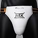MOOTO MTX Taekwondo Male Groin Protector WTF Approved TKD for Men XS to XL (L)