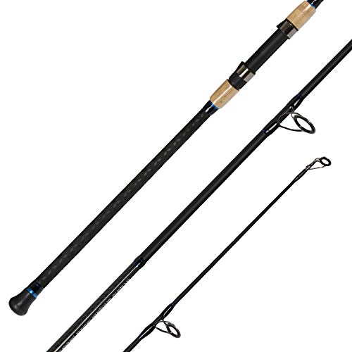 Fiblink 2-Piece Surf Spinning Fishing Rod Carbon Fiber Travel Fishing Rod