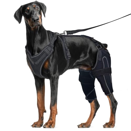 Image of Dog Acl Knee Brace for Torn Acl Leg, Dog Knee Pads for Back Legs Warm Joints and Relieve Joint Pain, Acl Brace for Dogs Rear Leg (XL)