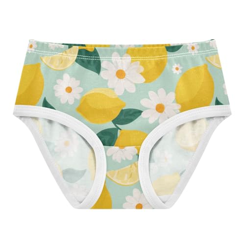Wusikd Lemon Daisy Girls' Underwear Cotton Girls Briefs Soft Toddler Underwear 2T