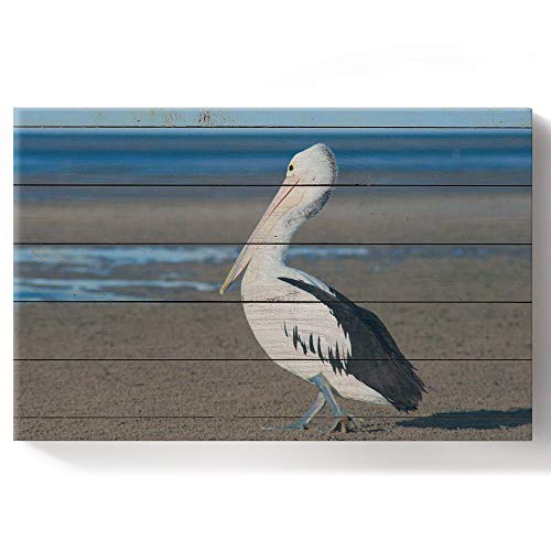 DIY Oil Paintings Paint by Numbers Kit for Adults/Kids Beginner Pelican Walking on The Beach on A Wood Grain Background Acrylic Paints on Canvas Wooden Framed Wall Art for Livingroom Bedroom 16X20In