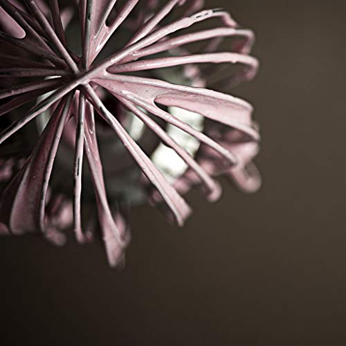 Belinda Clark Gourmet Marshmallow - Handmade 100% Natural Raspberry - Vanilla - Salted Caramel Marshmallows - 3 x 85g Bags