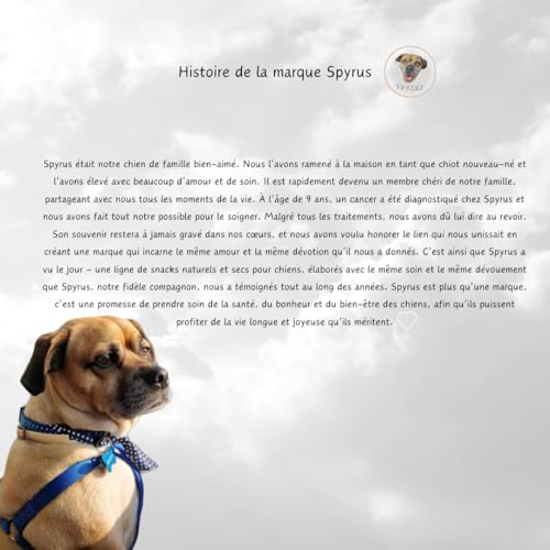 Spyrus Hasenohren ohne Fell Hunde Snack,Kaninchenohren ohne Fell,Naturprodukt für Hunde,Reich an Vitaminen & Mineralien|Snack für zwischendurch(200g)