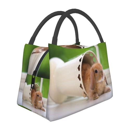 �E�T�M�� �����`�o�b�O �ٓ��� ��e�� �y�� �ۗ� �ۉ� ���� �ʋ� �ʊw �܂肽���� ��l�p �j���p �����p �q���p