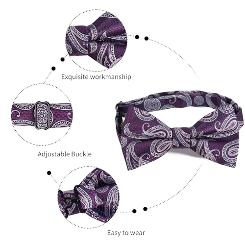 Image of Alizeal Mens 4pcs Vintage Paisley Bow Tie Set