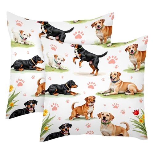 Fundas de almohada decorativas de terciopelo suave 50x50 2
