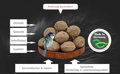 Anhaltiner Meisenknödel 30 Stück ohne Netz mit Insekten Vogelfutter Wildvogelfutter Meisenfutter eigene Produktion Herstellung in Deutschland