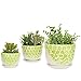 MyGift Green and White Ceramic Succulent Cactus Planter Pots with Embossed Floral Design and Attached Saucers, 6-inch, 5-inch and 4-inch Pots, Set of 3