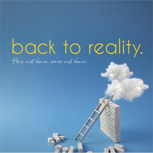 Back to Reality // Vision and Opposition // Titus Leger cover art