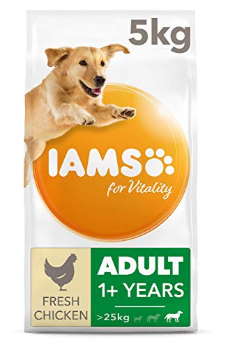 IAMS Alimento seco para Perros de Razas Grandes con Pollo Fresco, Comida Seca para Perros Adultos de más de 1 año, 5 kg
