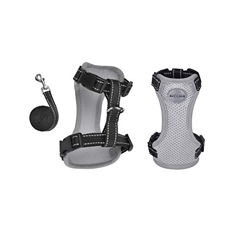 https://m.media-amazon.com/images/I/410GxCSPYmL._SL500_.jpg
