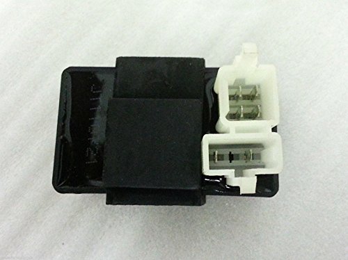 Unidad CDI para Bashan BS200S-3, BS200S-7 y BS250S-11B Quad Bikes