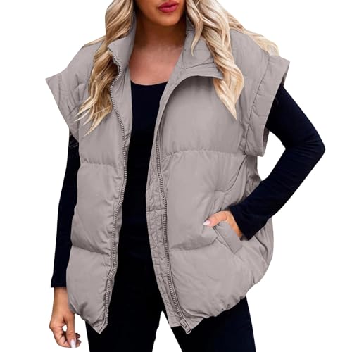 Women Sleeveless Warm Vest Jackets Casual Stand Collar Padded Puffer Vest Zip Up Quilted Jacket Outerwear Coat