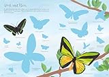 Mein Immer-wieder-Stickerbuch: Schmetterlinge: Stickerheft mit beschichteten Seiten zum einfachen Ablösen der über 140 Sticker – ab 3 Jahren (Meine Immer-wieder-Stickerbücher)