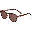 Totally Tortoise With Amber Lenses Polarized