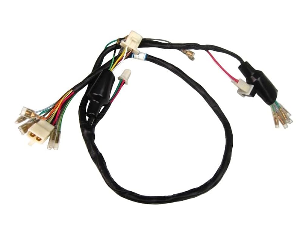 ミニモト エイプ キャブ車用 メインハーネス AEP ミニモト エイプ キャブ車用 メインハーネス AEP Amazon.co.jp