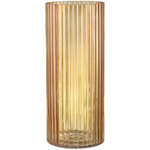 KAYLETIN Jarrón de cristal ámbar, jarrones cilíndricos de vidrio, florero alto, modernos jarrones acanalados para sala de estar, mesa de café, mesa de comedor, oficina, boda, estante, 30 cm