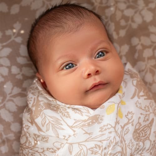 Image of aden + anais Silky Soft Swaddle Blanket, Boutique Muslin Blankets for Girls & Boys, Baby Receiving Swaddles, Ideal Newborn & Infant Swaddling Set, Perfect Shower Gifts, 3 Pack, Natural Woodland