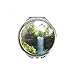 Waterfall Science Nature Forestry Scenery Hand Compact Mirror Round Portable Pocket Glass