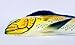 Handpainted Wall Mount Decor Plaque Mahi Mahi Green Dolphin 12